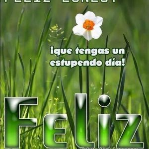 Meet your Posher, Aracely